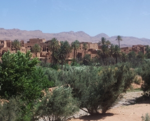 Tour - Il Marocco e le sue perle - Capodanno - Foto 3
