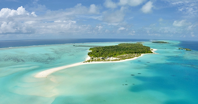 Maldive Tropici
