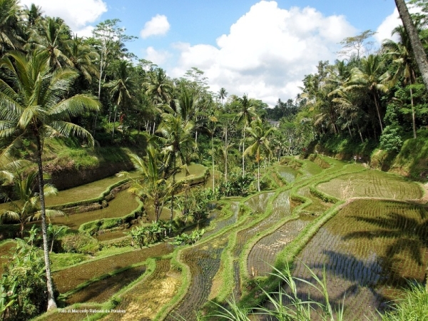 Tour di Bali & mare a Lombok Tour Culturali