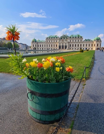 Vienna Pasqua partenza da Cagliari Partenze dalla Sardegna