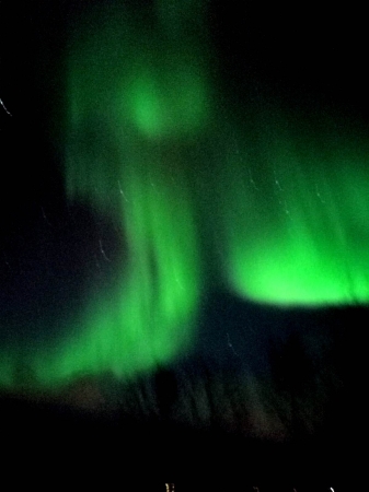 A caccia dell'Aurora Boreale - Lofoten Tour Culturali