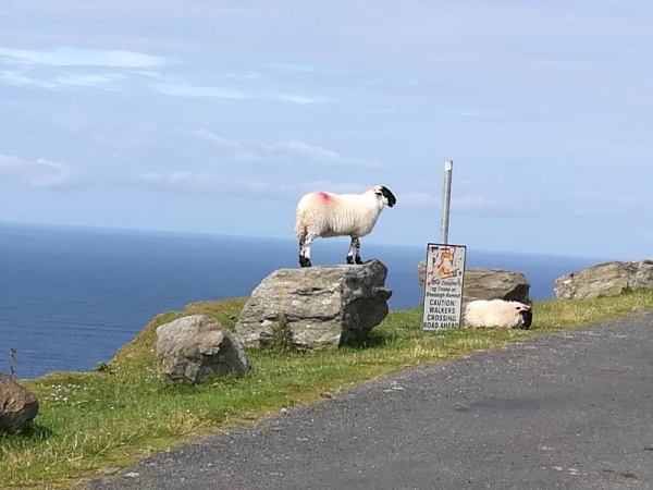 Tour dell'Irlanda Sud e Nord - da Cagliari Partenze dalla Sardegna