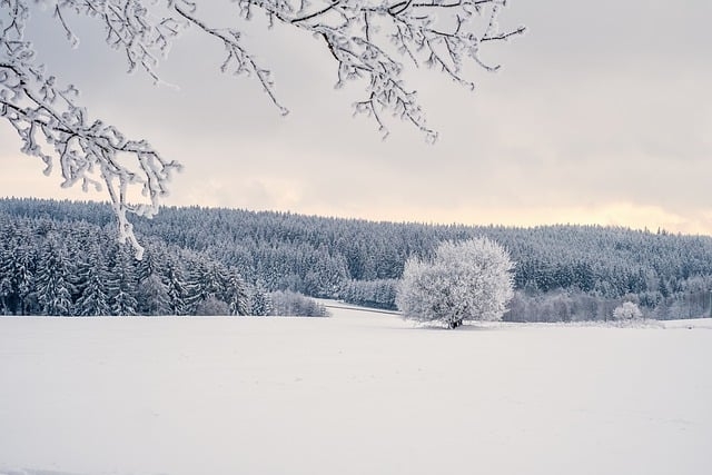 Capodanno sulla Neve - Trentino e Dolomiti Partenze dalla Sardegna