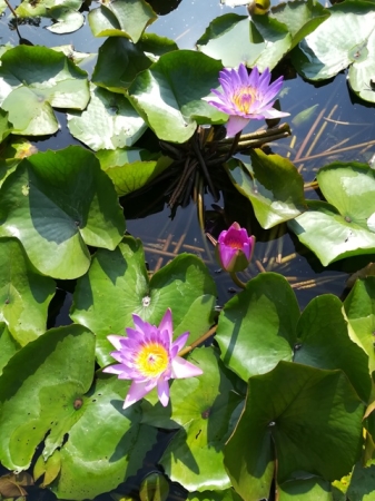 Laos con Accompagnatore 28 Marzo Tour Culturali