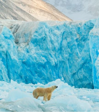 Isole Svalbard - alla ricerca dell'Orso Polare Tour Culturali